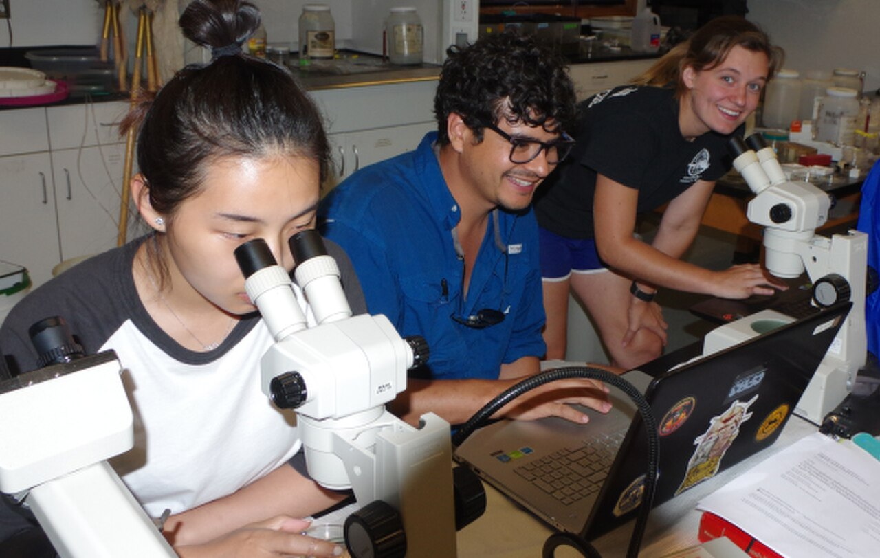 Veterinary Surgery & Radiology – Fundamentals & Clinical Assessment