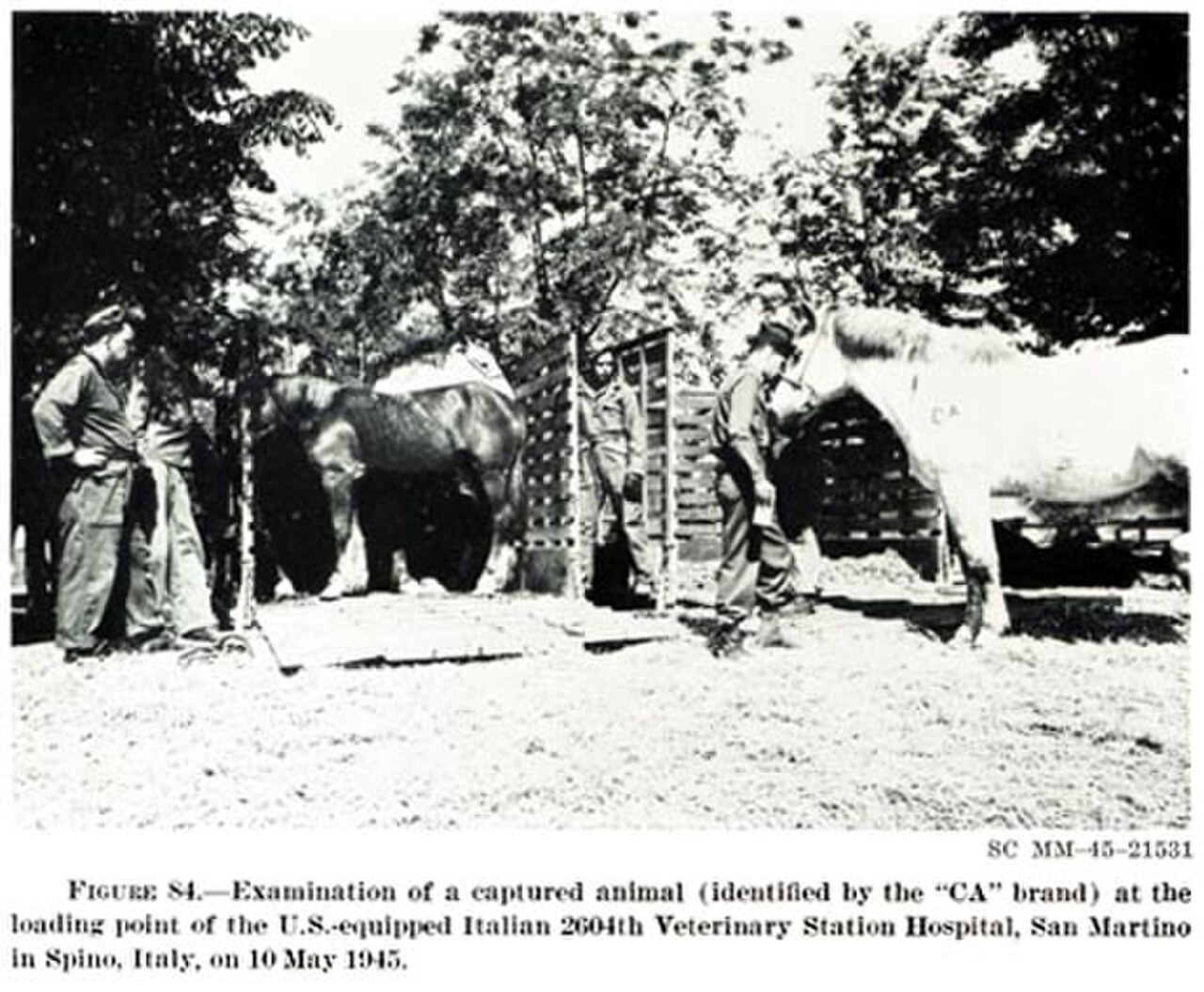 State PSC — Veterinary Officer Test Series 2027
