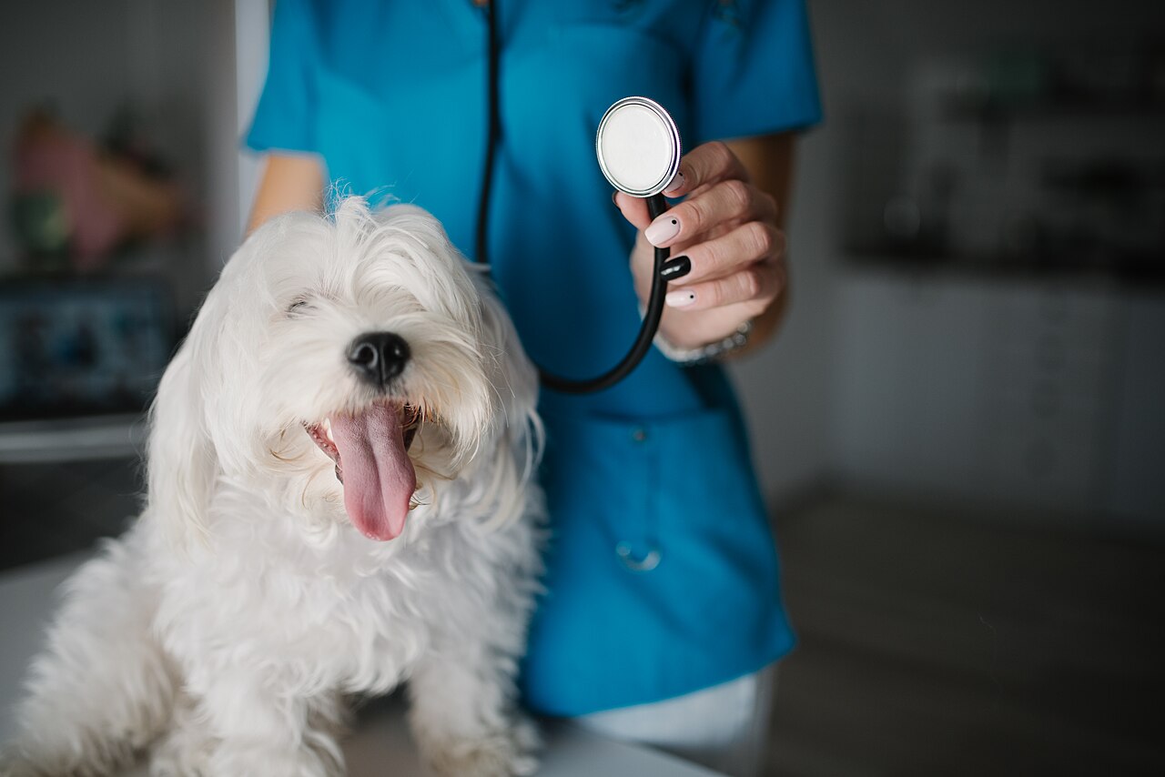 Vet Science — ICAR PG Test Series 2027